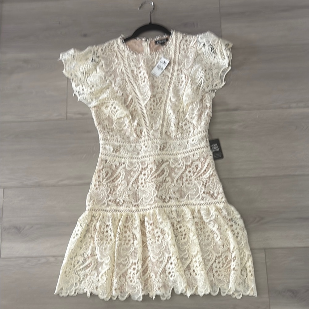Express Ivory Lace Mini Dress